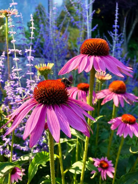 IMG_4591 (2) Downloadables